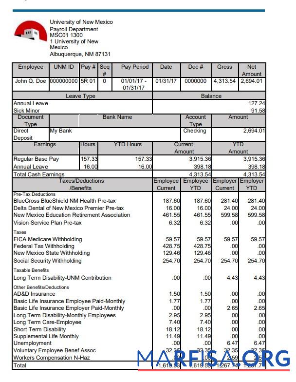Blank University of New Mexico pay stub download for verification